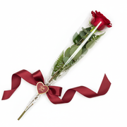 Single Rose - Valentine's Day